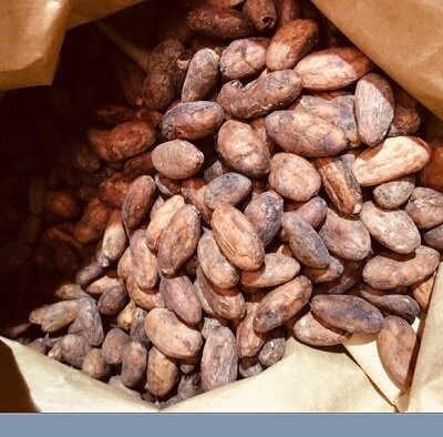Cacao Beans, Organic - Peruvian Criolla