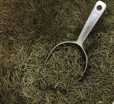 Pine Needles, from