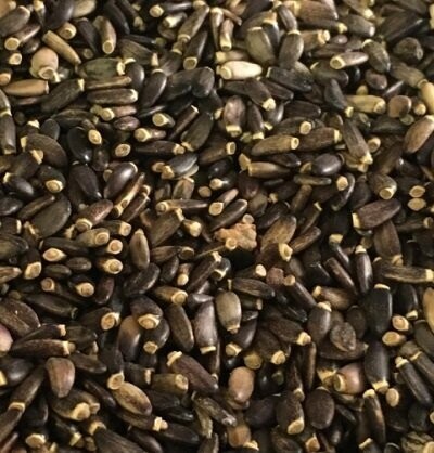 Milk Thistle Seeds Organic, from