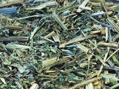 Cleavers Herb, from