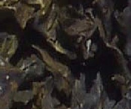 Kombu, Sweet Organic
