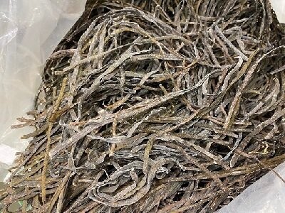 Sea Spaghetti Organic, from