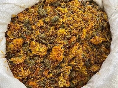 Calendula Flowers (Marigold), from