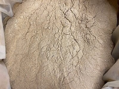 Dong Quai Root Ground (Angelica sinensis), from
