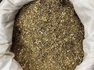 Goat's Rue Herb, from