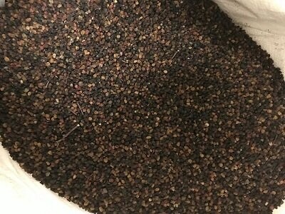 Elderberries Whole Organic, from