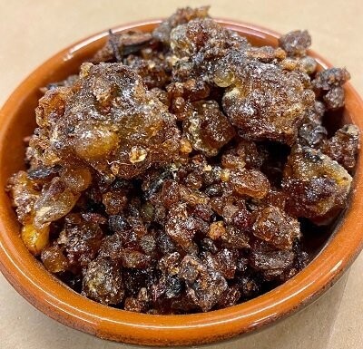 Guggal - Indian Myrrh, from