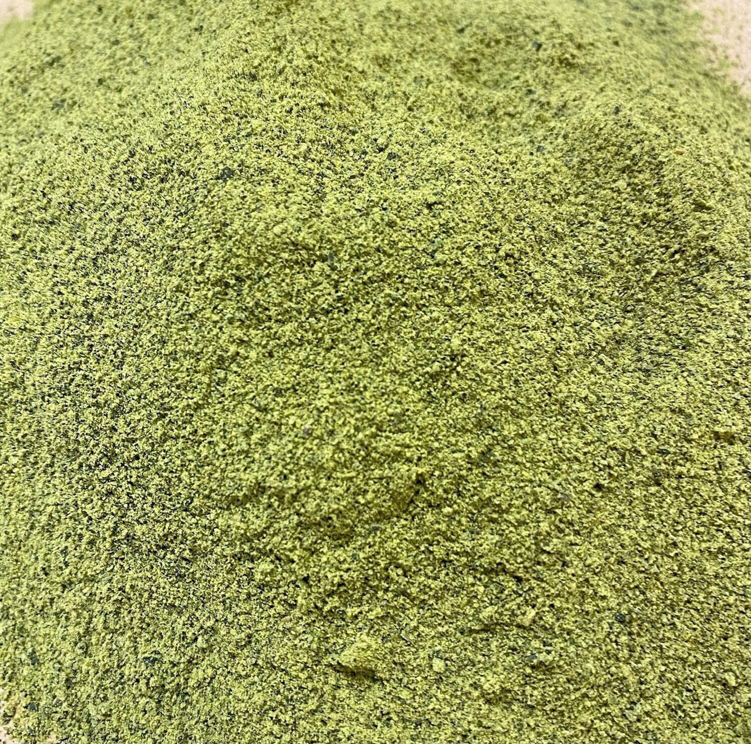 Kelp Powder, Organic, from