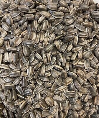 Sprouting Seeds: Sunflower Seeds Black Organic, from