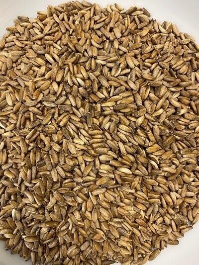 Milk Thistle Seeds, from