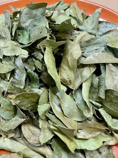 Curry Leaves Organic, from