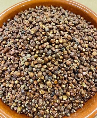 Grains of Paradise, from