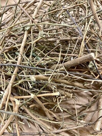 Bala - Country Mallow, from