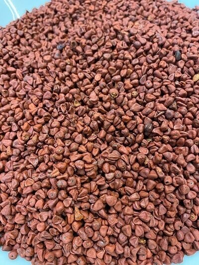 Annatto Seeds, from