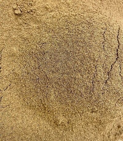 Celery Seed Ground, from