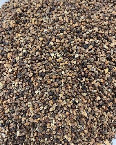 Cardamon Seed, from