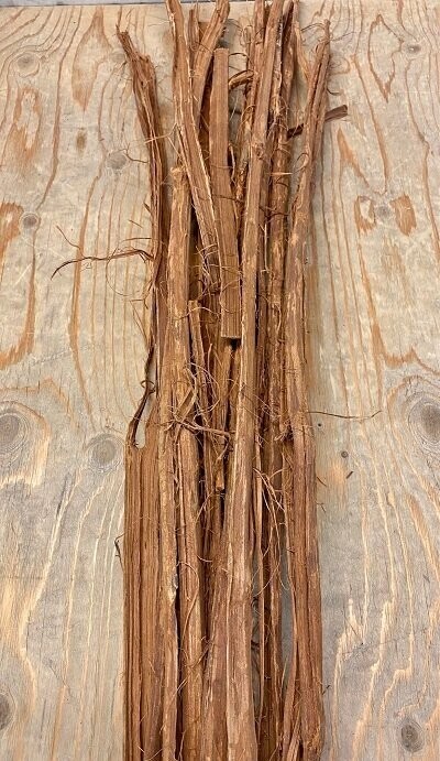 Cat's Claw Whole  Vine, from