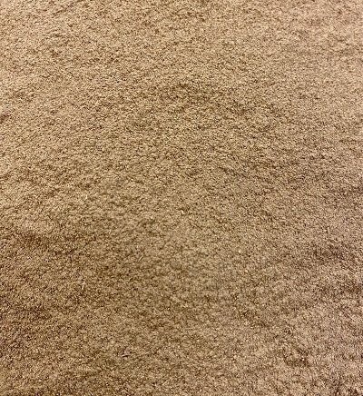 Cornsilk Ground, from