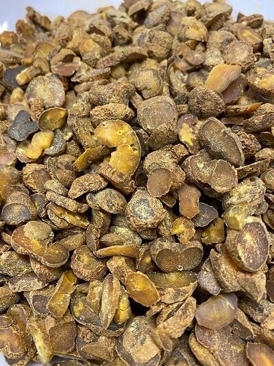 Corydalis Root, from