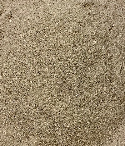Gentian Root Ground, from