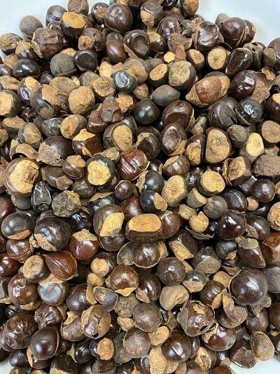 Guarana Seed Organic, from