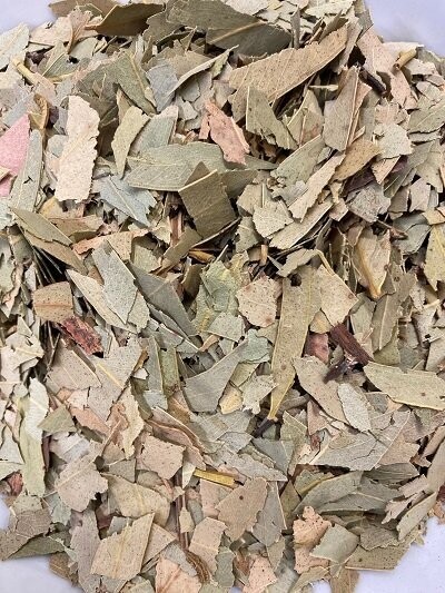 Eucalyptus Leaf, from