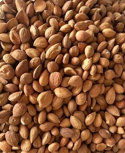 Apricot Kernels, from