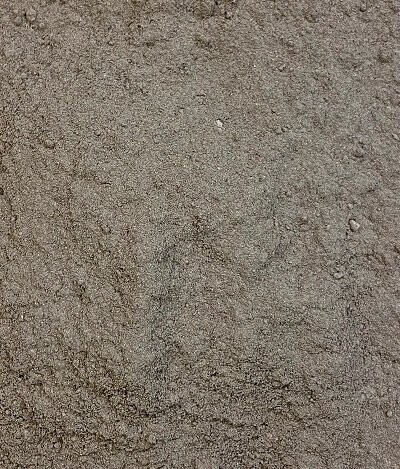 Icelandic Moss Ground, from