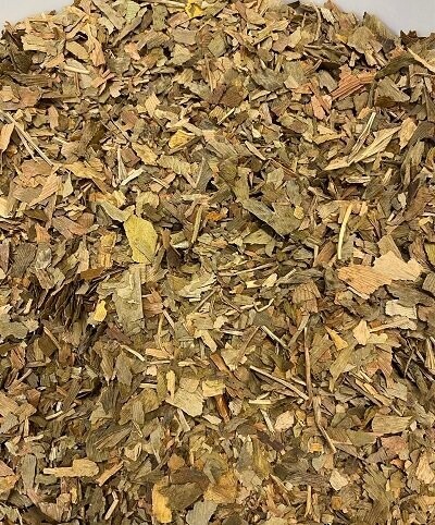 Maidenhair Tree Leaf, from