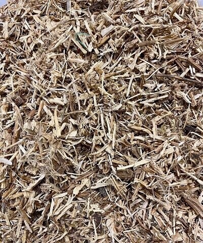 Nettle Root, from