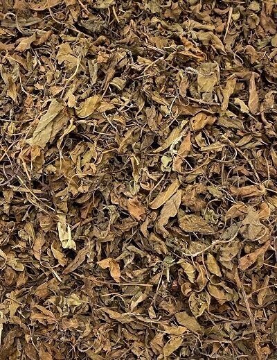 Tulsi Holy Basil Organic, from