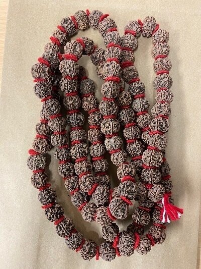 "Shiva's Tears"Mala, long, large Rudraksha beads