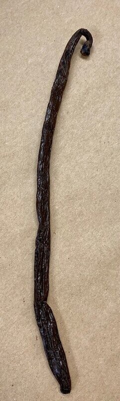 Vanilla Pod Single