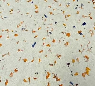 Marigold Flower 55 gsm, 51cm x 76cm