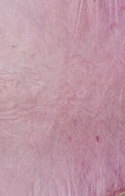 Lokta Tissue Pink 18gsm, 51cm x 76cm