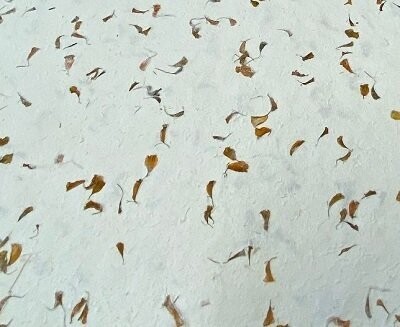 Asara Flower 55 gsm, 51cm x 76cm