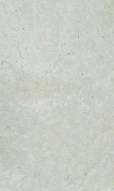 Lokta Natural 65gsm, 51cm x 76cm