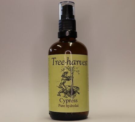 Cypress Hydrolat, from Cypress Hydrolat, from