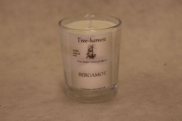 Pure Plant Wax Votive Candle -Bergamot