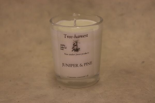 Pure Plant Wax Votive Candle - Juniper & Pine