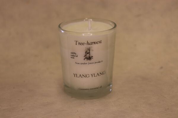 Pure Plant Wax Votive Candle - Ylang Ylang
