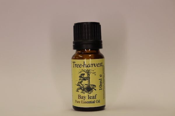 Bay Leaf Essential Oil, from