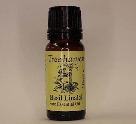 Basil Linalol Essential Oil, from