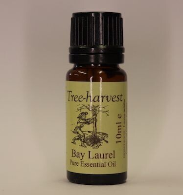 Bay Laurel Essential Oil, from