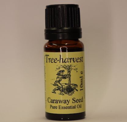 Caraway Essential Oil, from