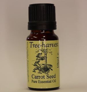 Carrot Seed Essential Oil, from