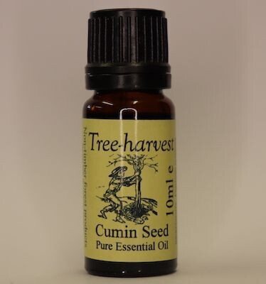 Cumin Seed Essential Oil, from