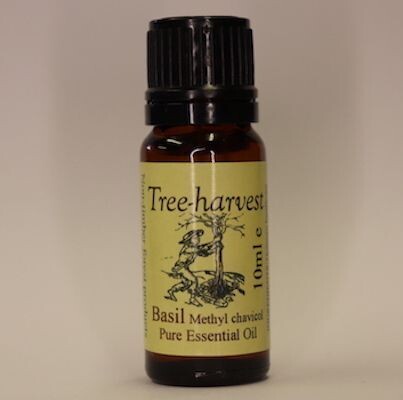 Basil (Methyl Chavicol) Essential Oil, from