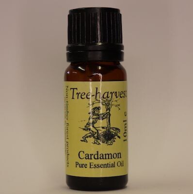 Cardamom Essential Oil, from