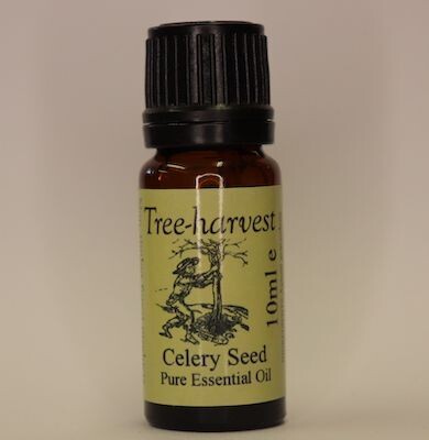 Celery Seed Essential Oil, from